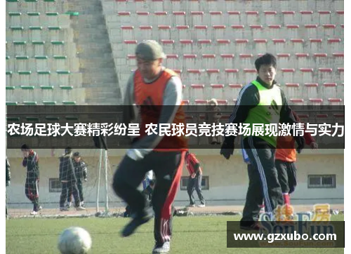农场足球大赛精彩纷呈 农民球员竞技赛场展现激情与实力