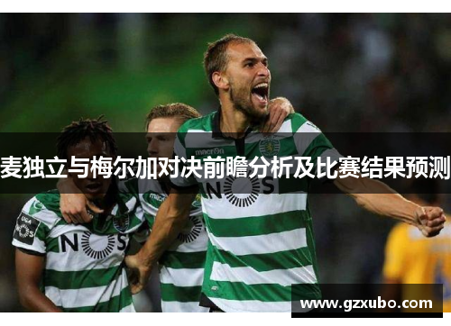 麦独立与梅尔加对决前瞻分析及比赛结果预测